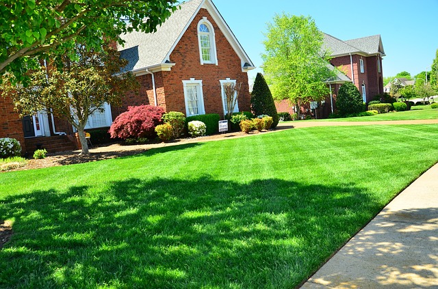 Green Grass with House